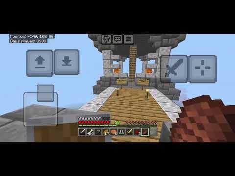 Destroying the Server With dogs